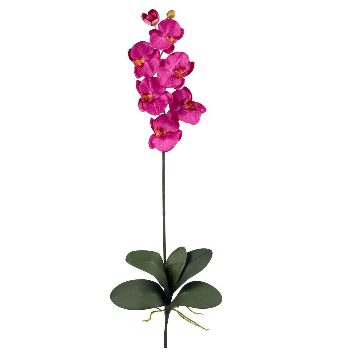 Phalaenopsis Stem (Set of 6) - Beauty by Nearly Natural in Beauty