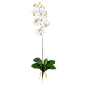 Phalaenopsis Stem (Set of 6) - Cream by Nearly Natural in Cream
