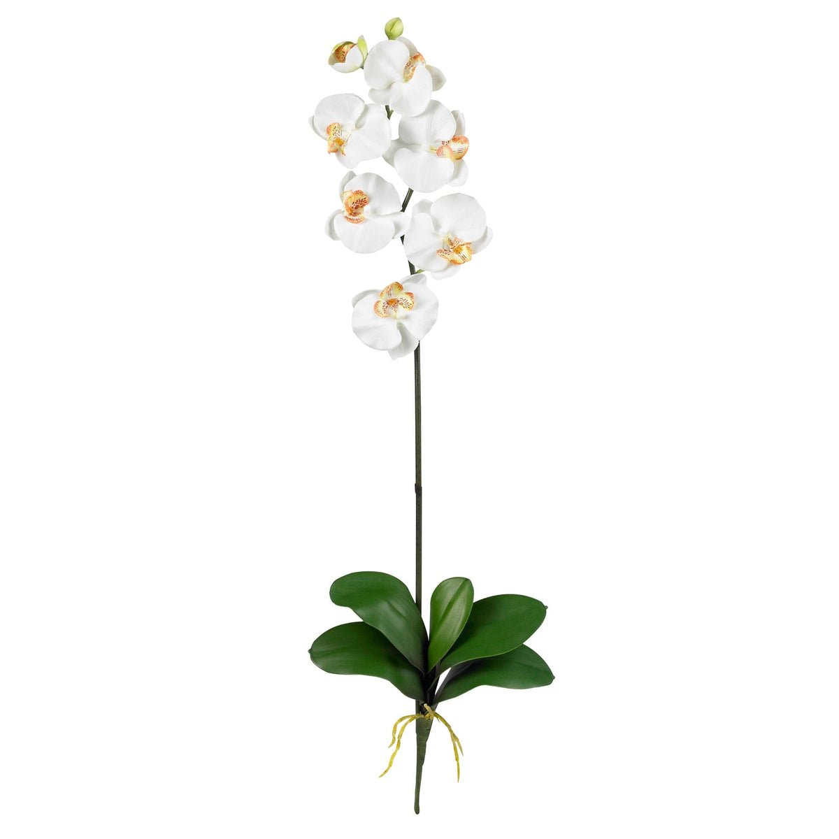 Phalaenopsis Stem (Set of 6) - Cream by Nearly Natural in Cream