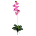 Phalaenopsis Stem (Set of 6) - Mauve by Nearly Natural in Mauve
