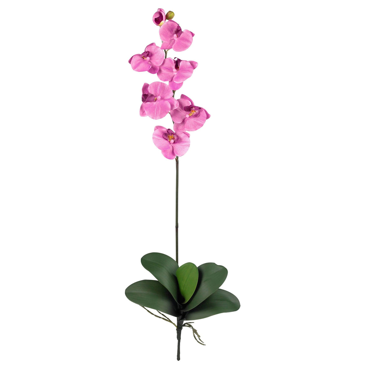 Phalaenopsis Stem (Set of 6) - Mauve by Nearly Natural in Mauve