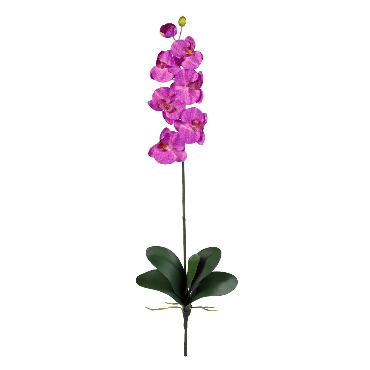 Phalaenopsis Stem (Set of 6) - Orchid by Nearly Natural in Orchid