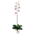 Phalaenopsis Stem (Set of 6) - White by Nearly Natural in White
