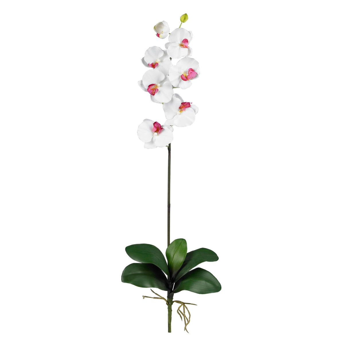 Phalaenopsis Stem (Set of 6) - White by Nearly Natural in White