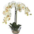 18" Phalaenopsis w/Glass Vase - White by Nearly Natural in White