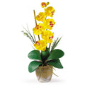 Single Stem Phalaenopsis Gold Yellow by Nearly Natural in Yellow
