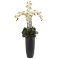 41" Phalaenopsis Orchid Arrangement with Bullet Plnter Cream by Nearly Natural in Cream