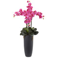 41" Phalaenopsis Orchid Arrangement with Bullet Pl Dark Pink by Nearly Natural in Dark Pink