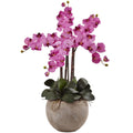 36" Phalaenopsis Orchid Arrangement with Sand Colored Mauve by Nearly Natural in Mauve