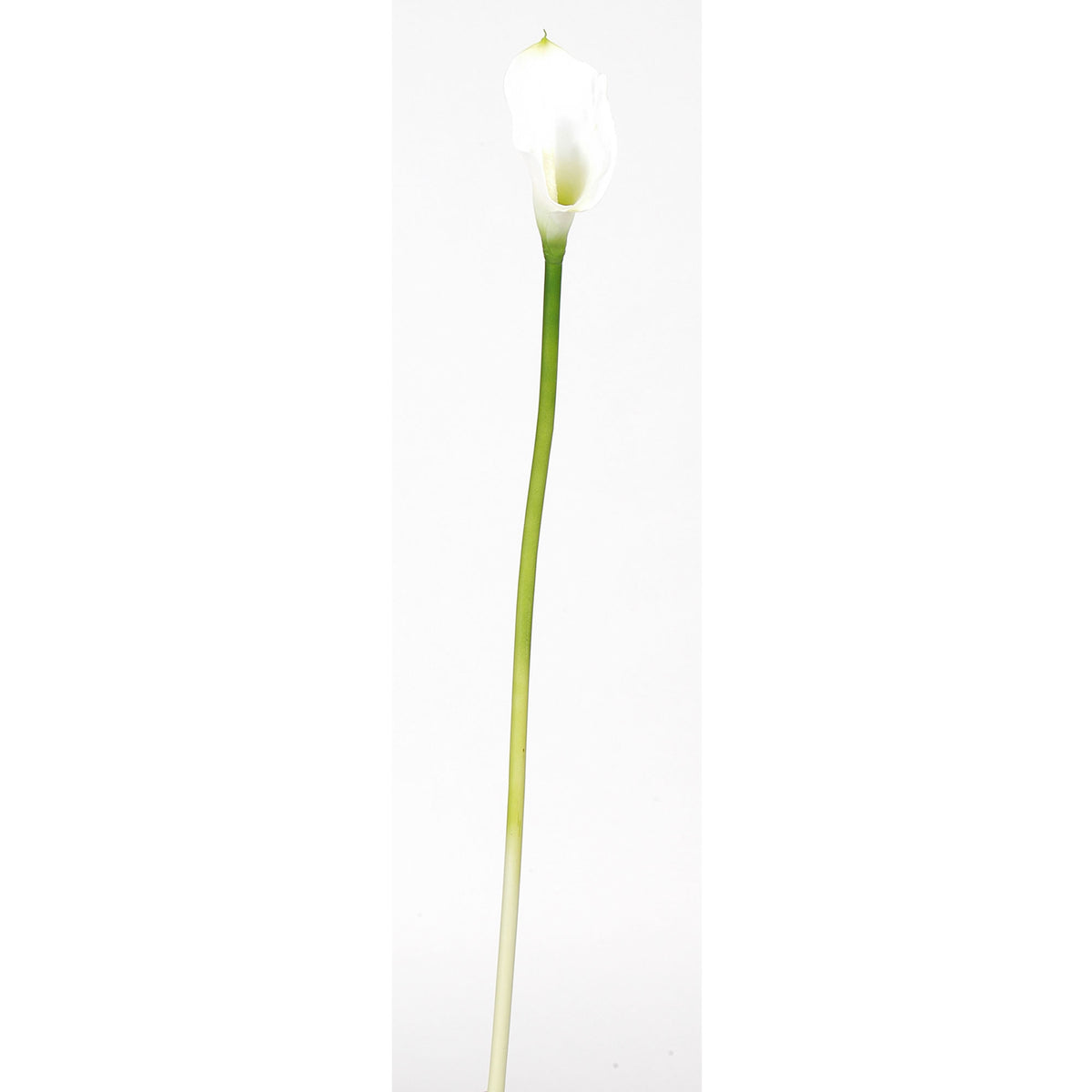 28” Calla Lilly Stem - Cream by Nearly Natural in Cream