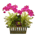23" Orchid Succulent and Maiden Hair Arrangement by Nearly Natural in Dark Pink