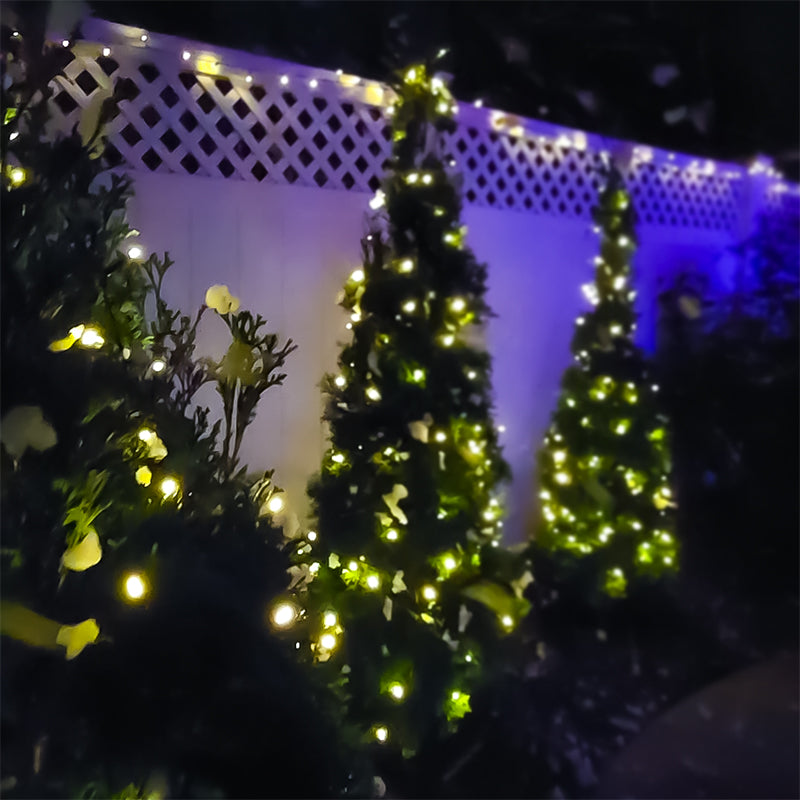 100 LED Battery Operated String Lights | Warm White
