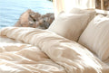 Sleep & Beyond 270TC Organic Cotton Percale Pillowcase Pair, supplier catalog photograph