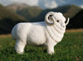 Sleep & Beyond Merino CoCo Wool Collectible, supplier catalog photograph