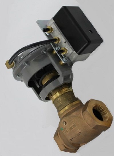 Johnson Controls No1/2 Npt 4.6 W/P 3-6# VG7243GT+3008BP